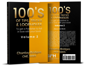 To Get A Publisher To Fall In Love With Your Book Vol. 2 English (Ebook)